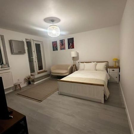 Studio Cozy Piata Victoriei Apartment Bucharest Exterior photo